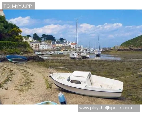 奥地利与俄罗斯的较量:历史背景与未来展望的深度分析 奥地利与俄罗斯的较量:历史背景与未来展望的深度分析